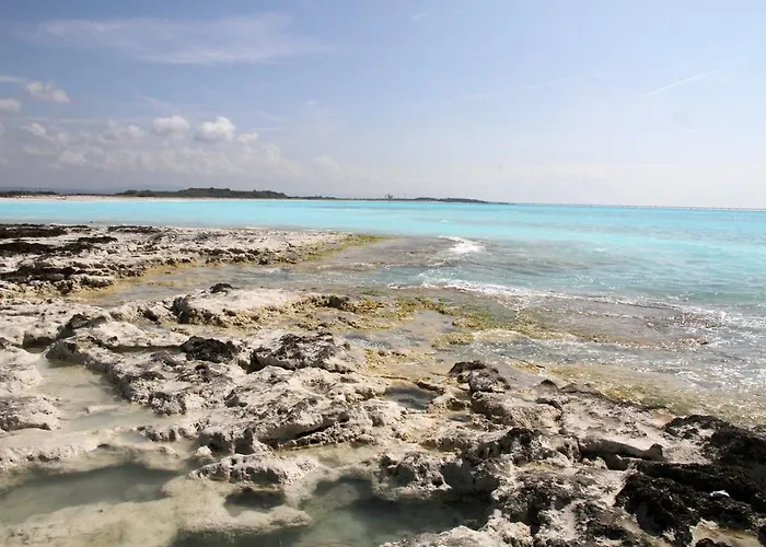 Tuscany Forever Famiglia *